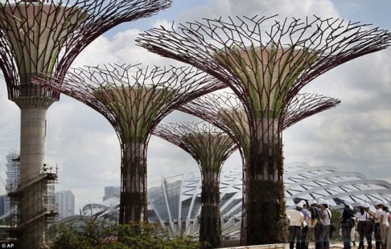 Гигантские искусственные деревья "садят" в Сингапуре