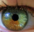 Stroma Medical: цвет глаз за ваши деньги