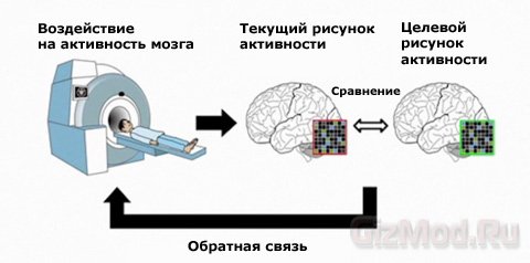 Подсознательное обучение мозга