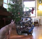 Робот DarwinBot для игры с собакой