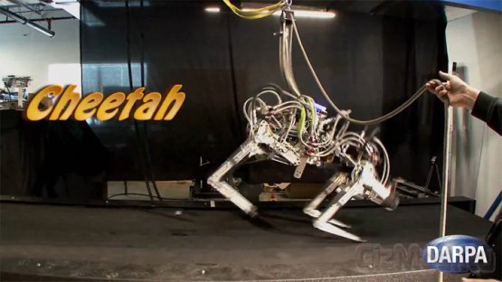 Cheetah - самый быстрый робот в мире