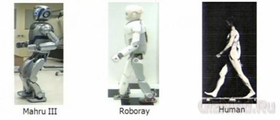 Samsung представила робота-гуманоида Roboray