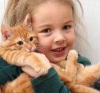 Животные в доме укрепляют иммунитет ребенка