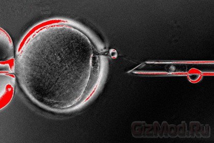 Стволовые клетки из клонированных эмбрионов