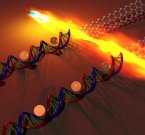 Углеродные транзисторы на нитях ДНК
