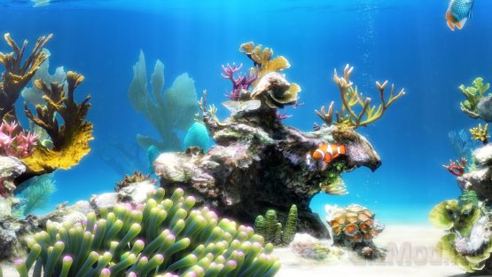 Sim Aquarium 3 Premium - аквариум в мониторе