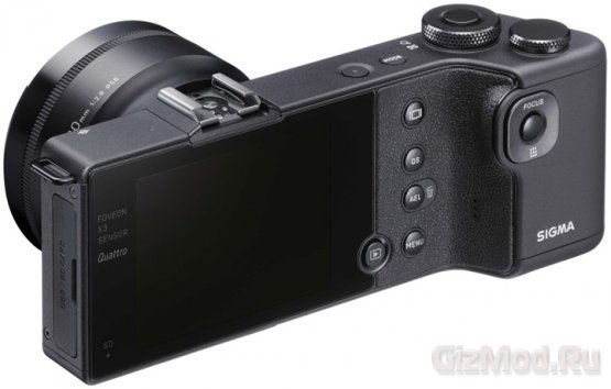 Вытяннутые камеры Sigmadp Quattro