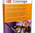 AKVIS Coloriage 9.5.1062.10402 - раскрасит старое фото красками