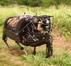 Американские солдаты тестировали робота-осла