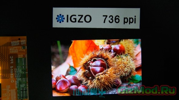 IGZO-дисплей от Sharp 2560х1600 точек на 4,1 дюйма