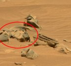 Игра воображения: марсианский камень в форме кошки