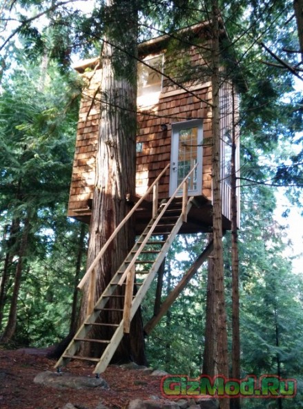 Дом на дереве, который построил Джефф