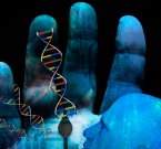 20% человеческого генома не используется