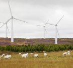 В Шотландии излишек энергии от ветряных электростанций